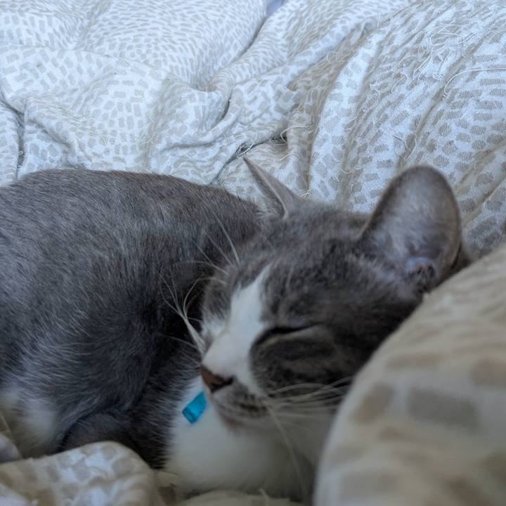 75ff1bf4 e162 46f1 b459 deeffd1a8d9d 1741577383899