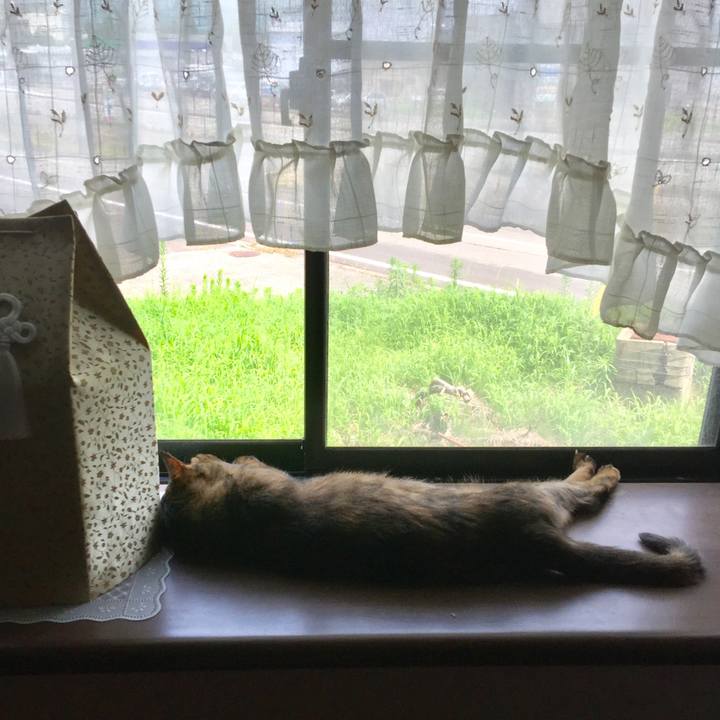 75ff6290 0830 46f2 a3f5 187df86ff49e 1563941662862