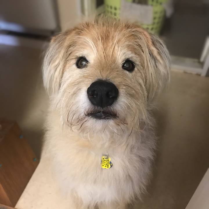 75ff8270 aca0 4fff b63e 2e8f14a28f5c 1590194103898