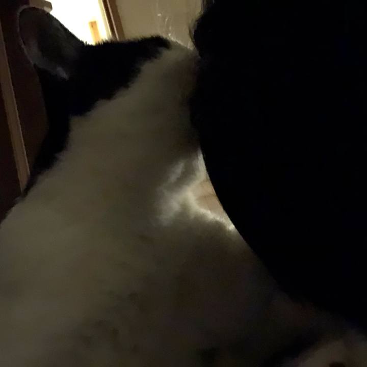 75ffb8b5 ad21 4931 b0a4 57564ea014ee 1547911972414