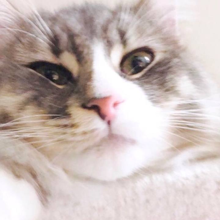 75ffbca7 c6b7 49d9 a89e 8a57a42988db 1584207967150