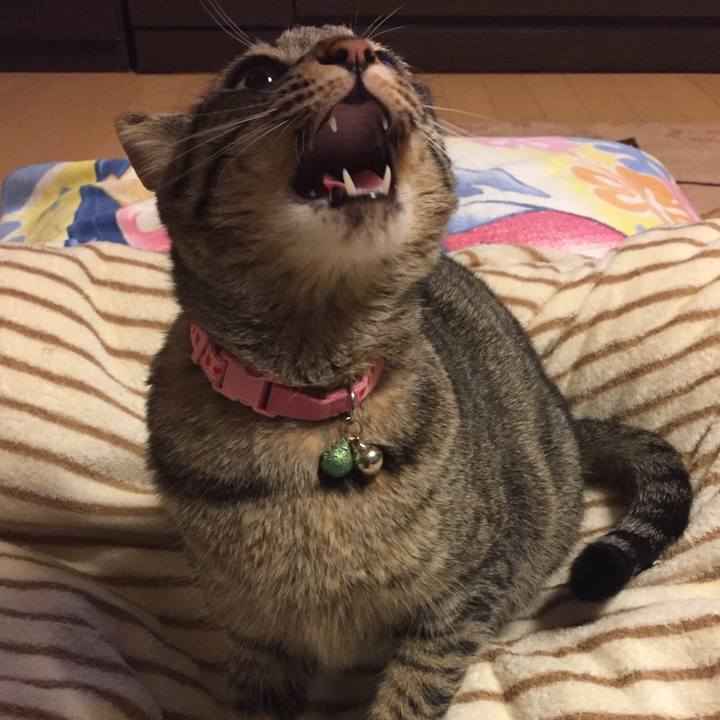 760002e0 08a7 431a ba63 f754db4075df 1518957359610