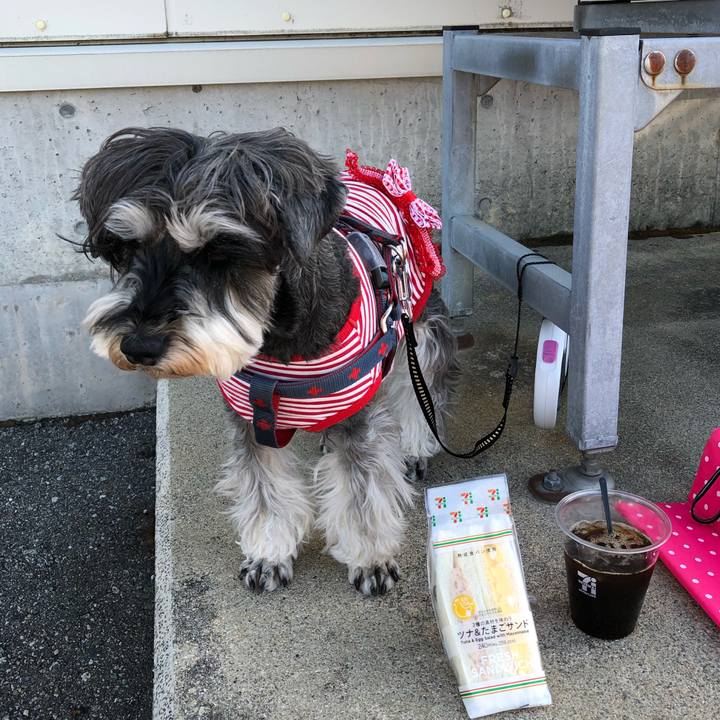 760029e2 4d57 47be 9676 1fab74ad0165 1649475584182