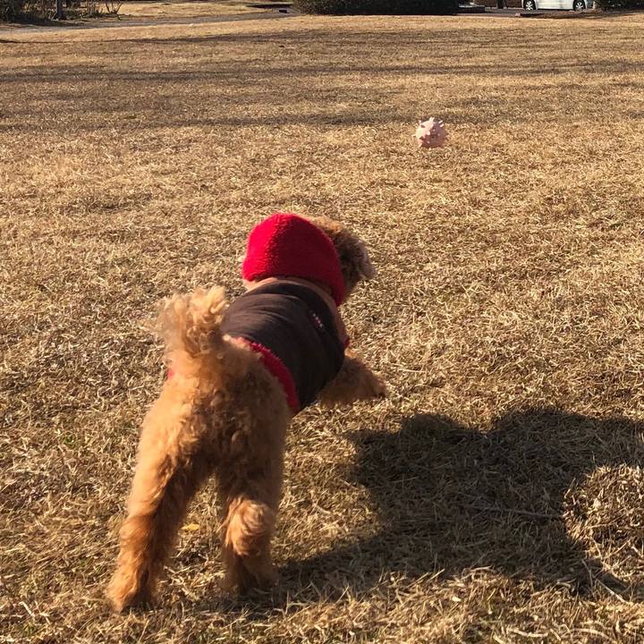 76003f8d 458e 4d1a b10f 8a4b0af8fce4 1549593484920