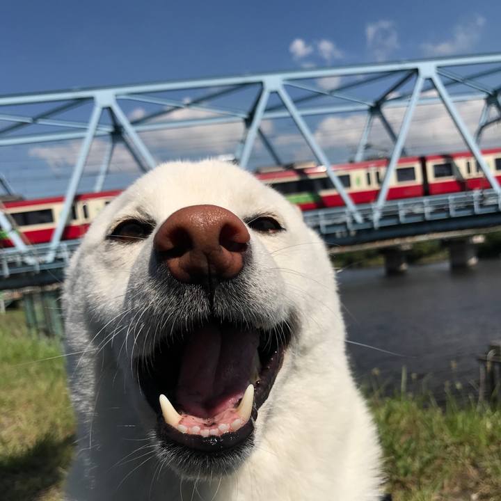 76004bc3 b8b9 4798 92e1 b56da2fa71bd 1528071200558