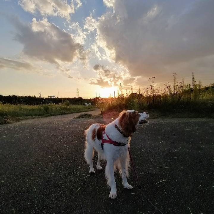 760065b8 34f1 48bb bda9 350c1572774d 1633175238694