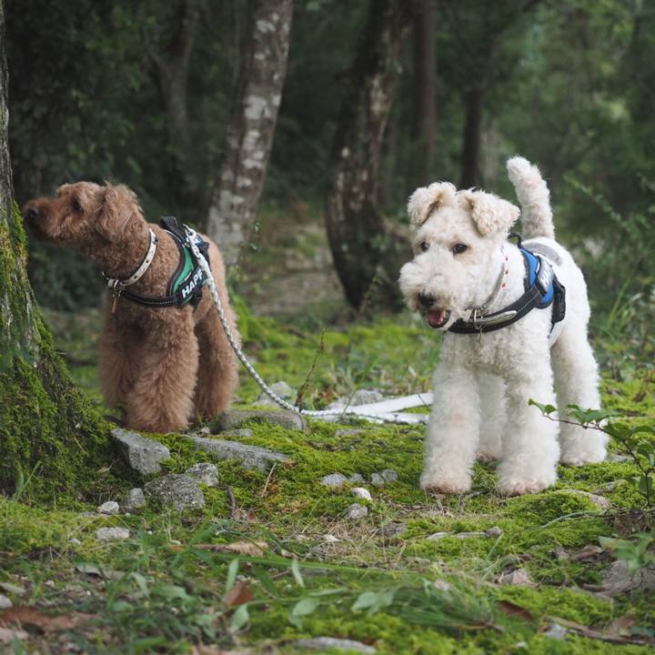 76007b0d 8844 443b bcc2 cd65bb936d37 1567212409194