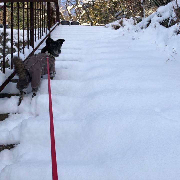 760095f6 21c3 46df b05f c693ccef1763 1610165246411