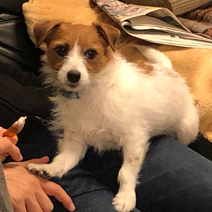 76009d28 cad7 40a3 9362 3f84efc86ca2 1546351261526