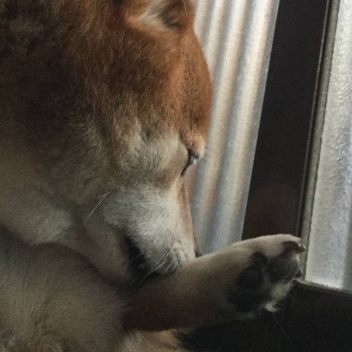 7600ae6b 4db1 4377 8ddf 93e33790710a 1613205122142