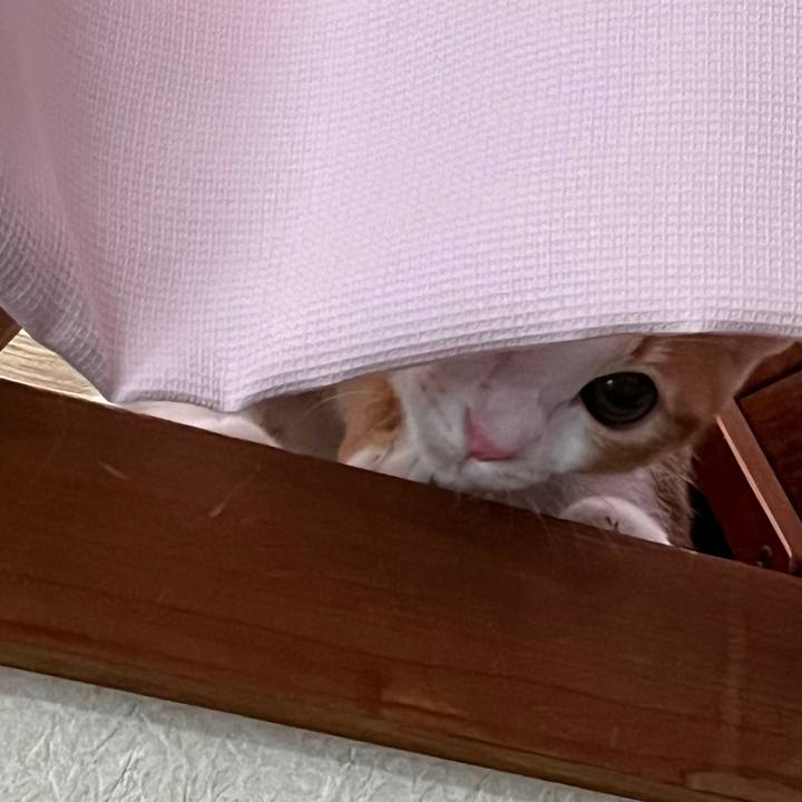 7600d6a9 27d8 41ee 9137 47f656375d9b 1636336856803