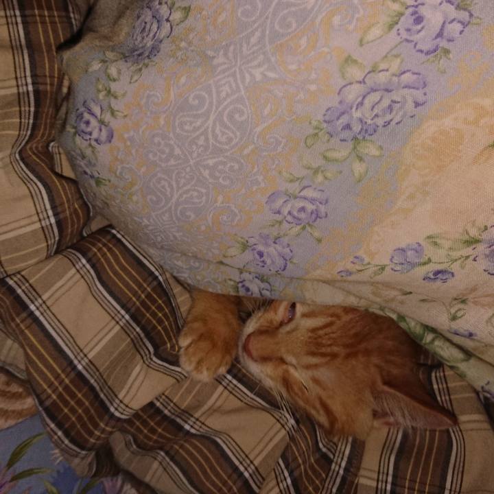 760105e5 d70b 4fa1 b432 8d3e7d5348f9 1630761544386