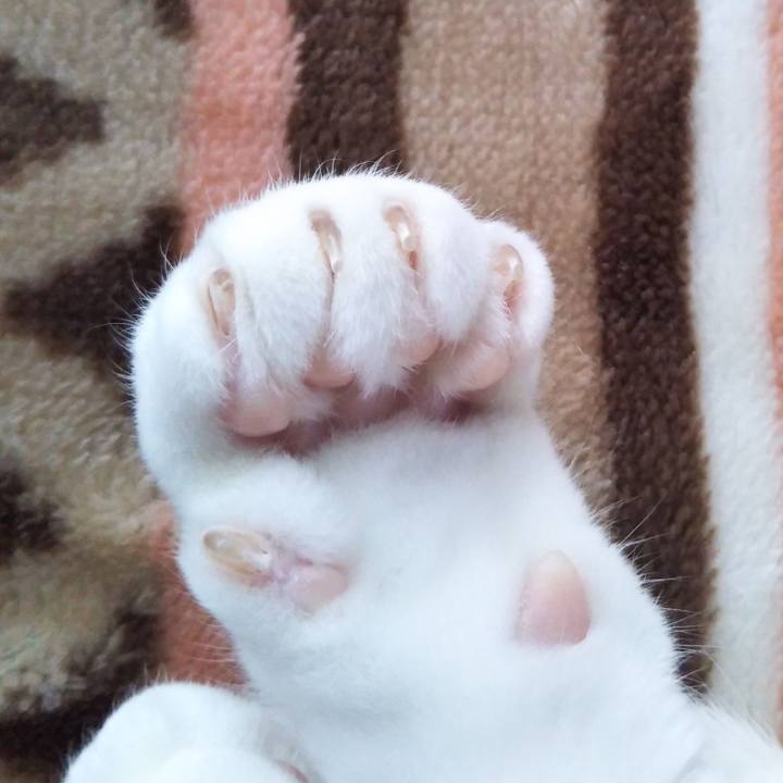 76011c01 ea5c 43b2 9704 54375d2656e7 1550209133642