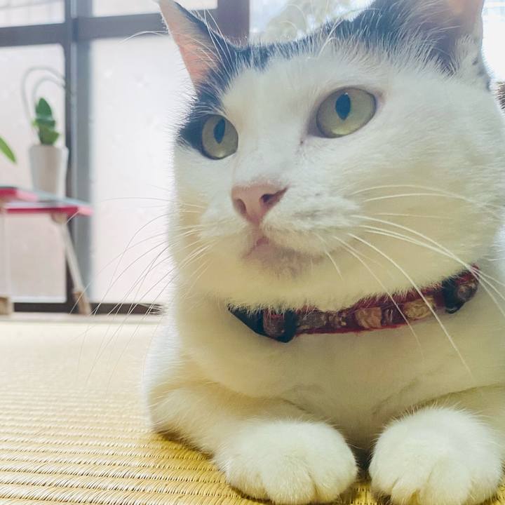 7601471f 23f5 4d21 8e80 41e109aefd74 1693695294768