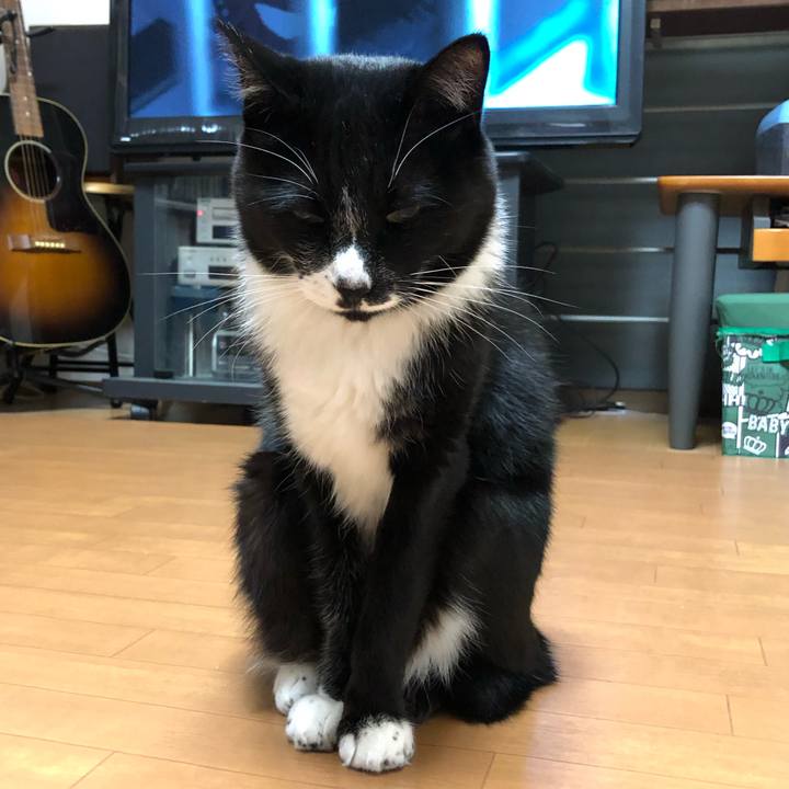 7601563d 0825 4090 bf02 0bd320aeae59 1603424103438