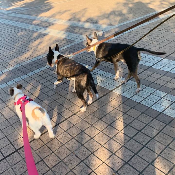 7601790a 2785 4425 aa33 10d0ddc966fd 1573888286170