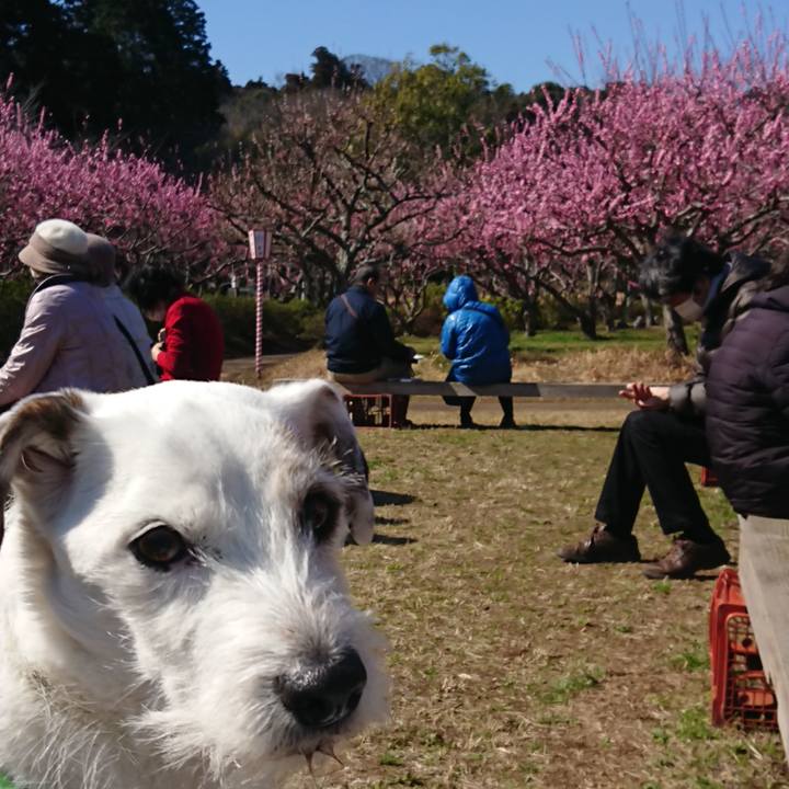 76017932 c3b1 4b82 9fc1 14d49f265c4d 1552123836255