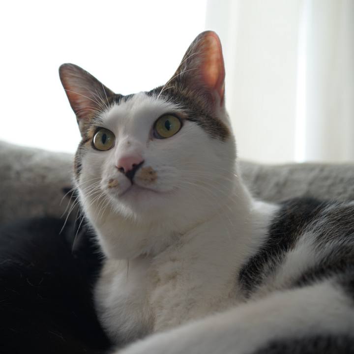 76019398 d7dc 4001 9d5e ff3eae335bd0 1551877505815