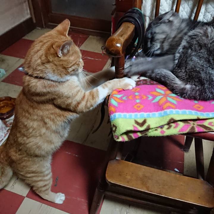 7601ceae 79dd 4a9e 90aa fa2b53994134 1571034411682