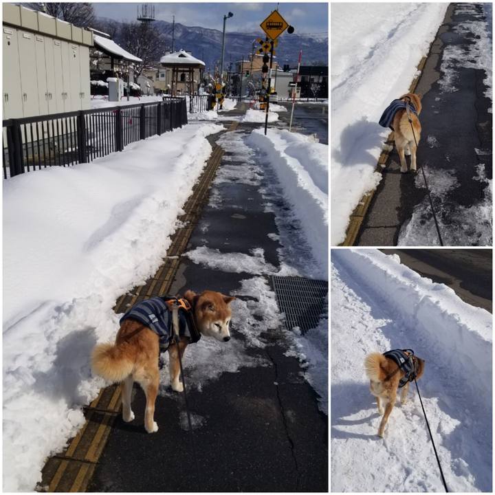 7601d4b1 3814 4f60 b56f 777b24fe1fa6 1769144837274