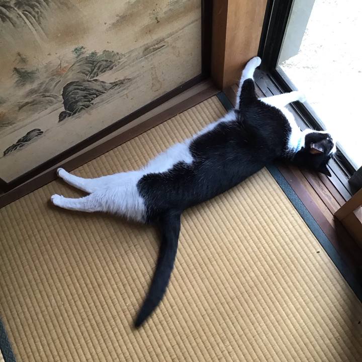 76020e8b f287 4597 af12 33dad01763a8 1751631379543