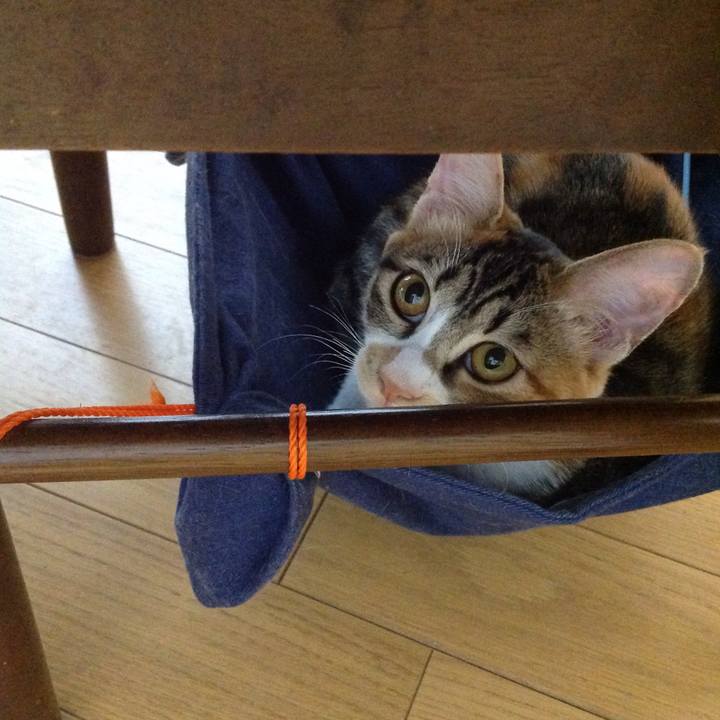 760217dd 0f7c 4604 b957 f2cc833f2ab2 1637549596785