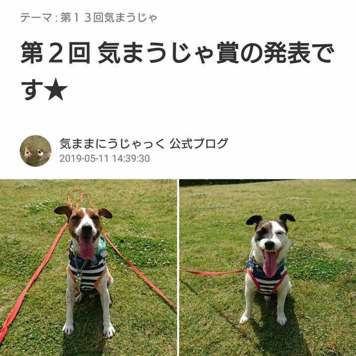 7602380c 1ca7 4e28 9d2f 8a8772dd4276 1557554073134