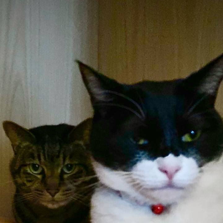 76026be2 74e4 4798 9227 a02819efc81a 1675344898844