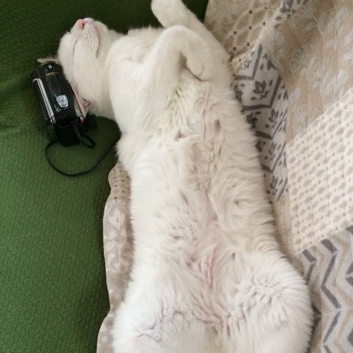 7602826d 1e31 40e8 b659 7efa8a96f9b2 1527669734115