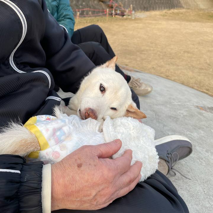 76029cbf 7212 437a 8eb1 100580891fa9 1675333314905