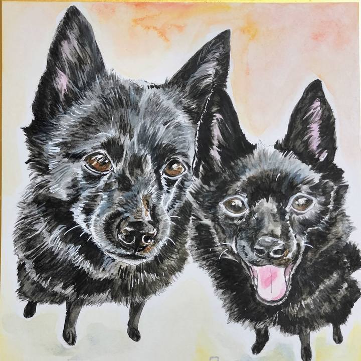 7602e2d7 6e07 4816 b59f 2b3ce5a6886d 1768716585368