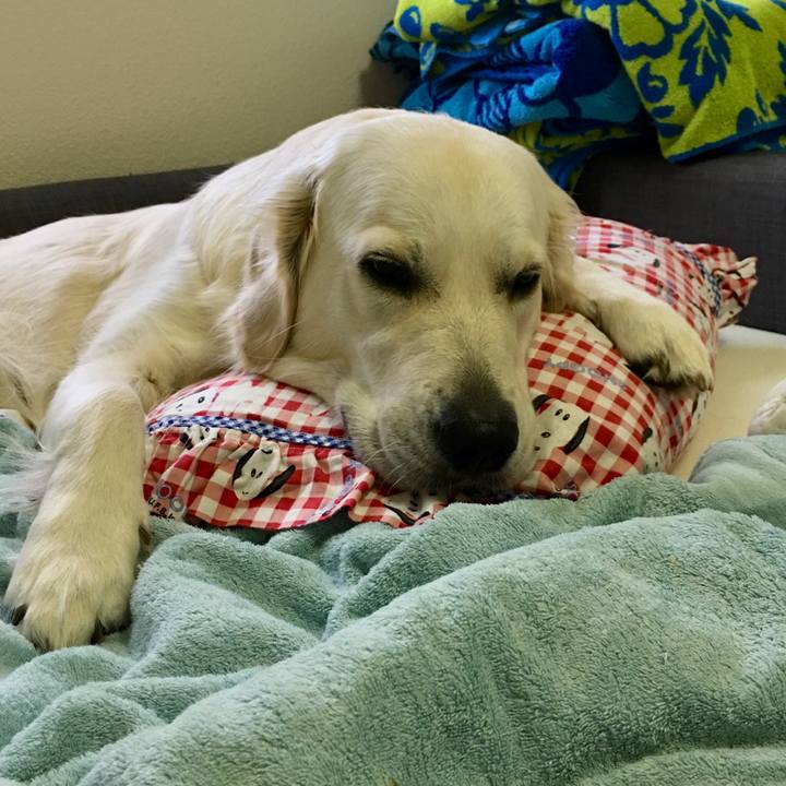 7602e762 a104 4e84 8a11 085880257ebe 1509523445893