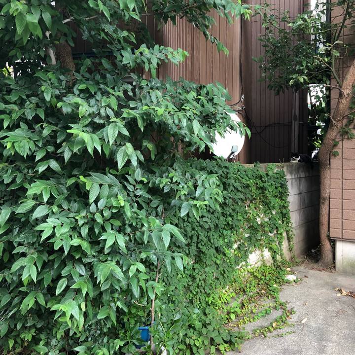 7602f316 54ba 4760 a3ed 816596687b38 1531322636723