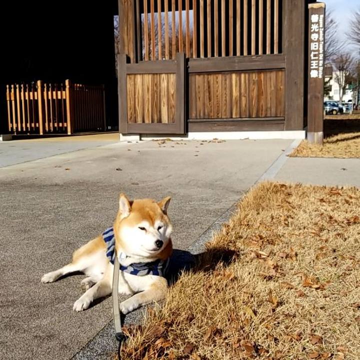 76037596 fc74 4254 aab1 f084f364946b 1576124907614