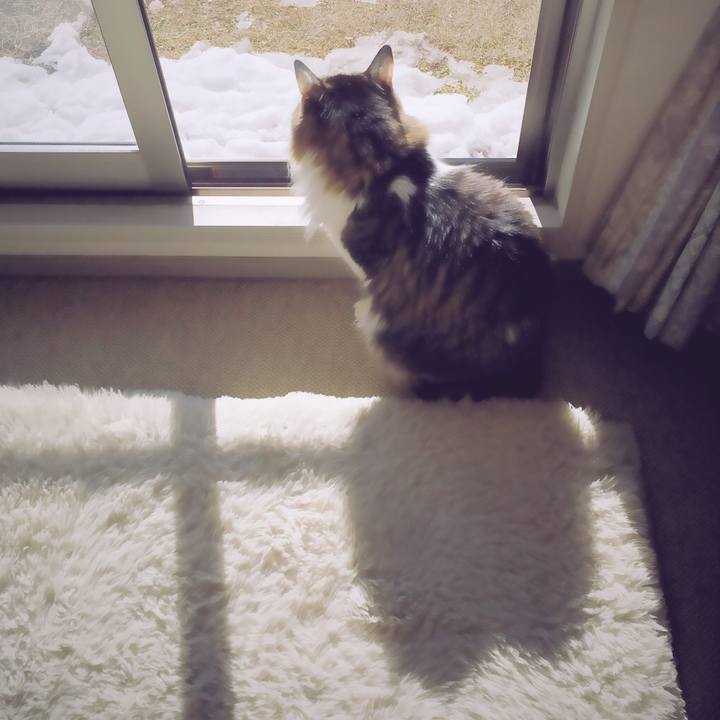 76038414 0332 439b a8e5 137bff1365af 1516791215572