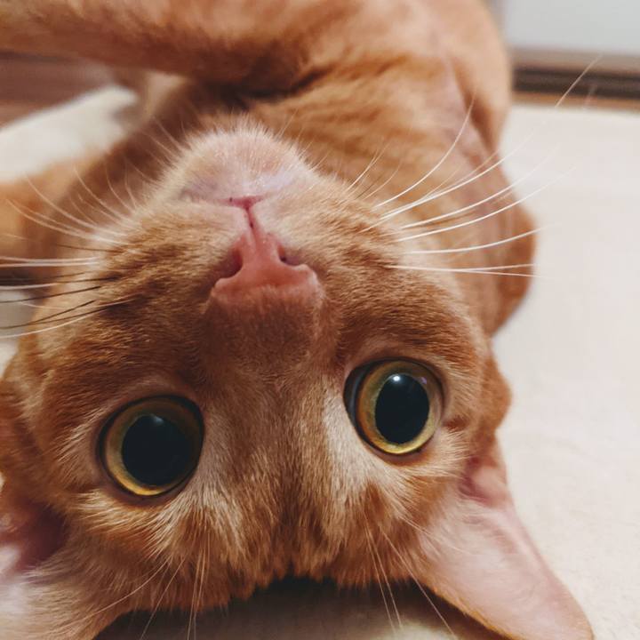 7603916c df78 473f bc20 e2b83131807f 1629291185434