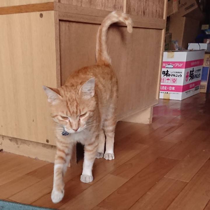 76039f60 0d73 4f1f 871b 751f8bc02ade 1561186372815