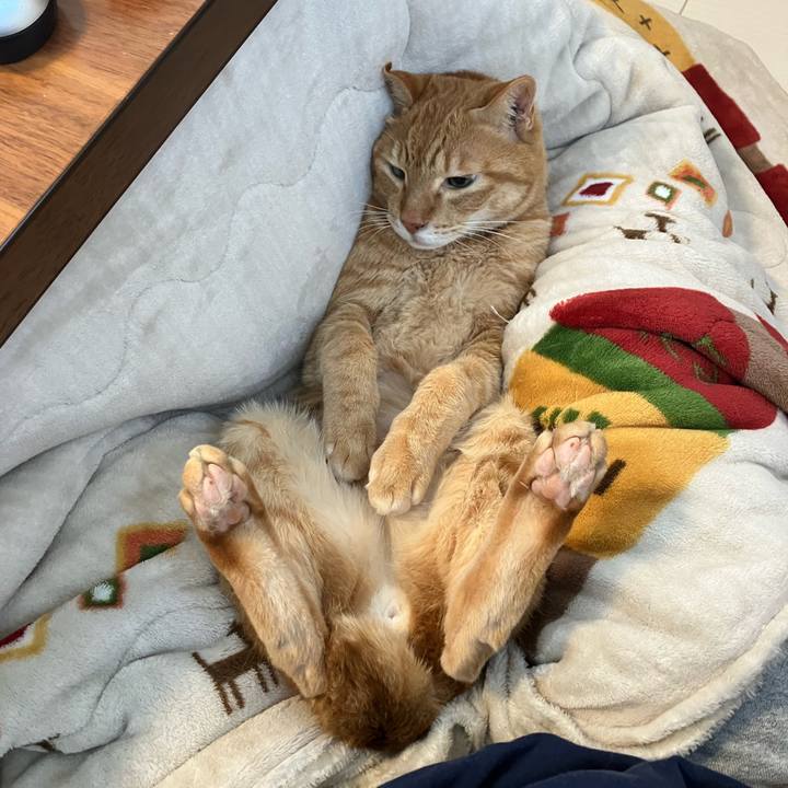 7603bac8 c739 4469 9afa ed2c5115454d 1764815455450