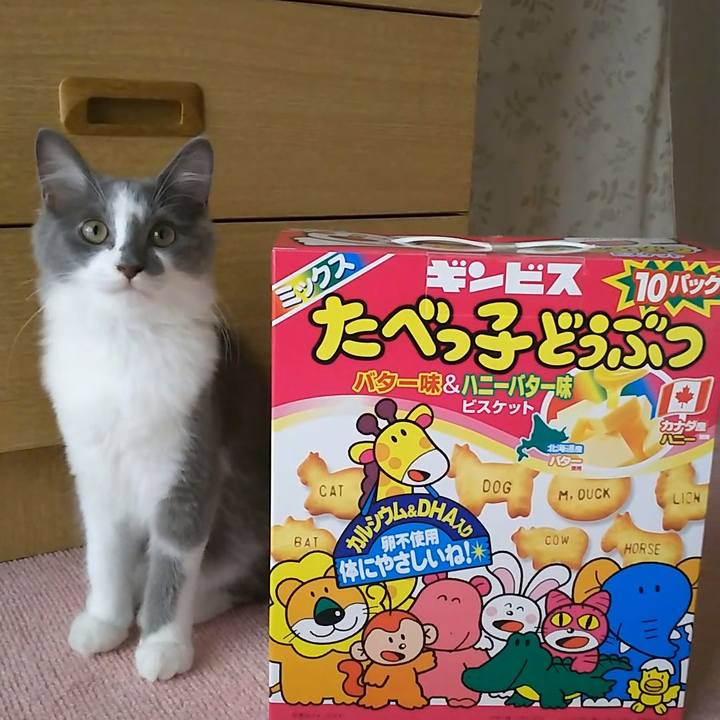 7603e62c 5f93 4ad1 b1bd 6cd68611548b 1566625482073