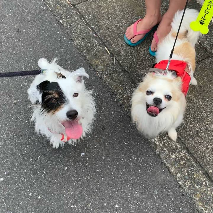 7603eab2 b7e4 42c1 862c c9bbae783bbc 1656805248185