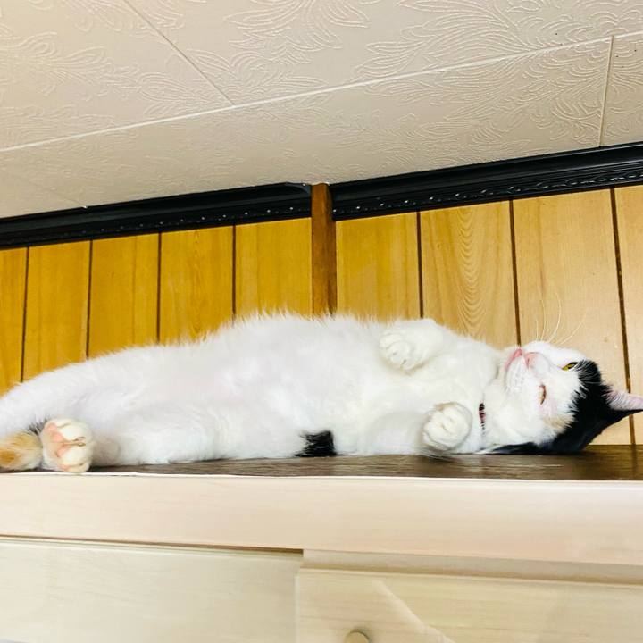 76044884 d9a2 4cd8 9d6b bfd3b0d02f6f 1657230448579