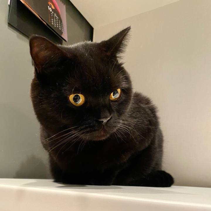 760458e5 0a82 4a38 9731 4ce20ba4fbf4 1698402893632