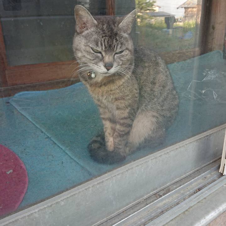 76047d82 a33f 4092 8658 b8bd978e95b5 1559812558934