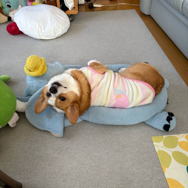 760494d9 d7eb 4eb6 ac30 57884191c8a8 1767834796711