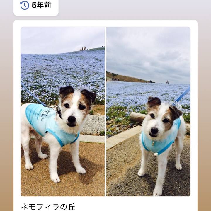 76049ba6 c528 4785 8122 0d5b521bb122 1555759799629