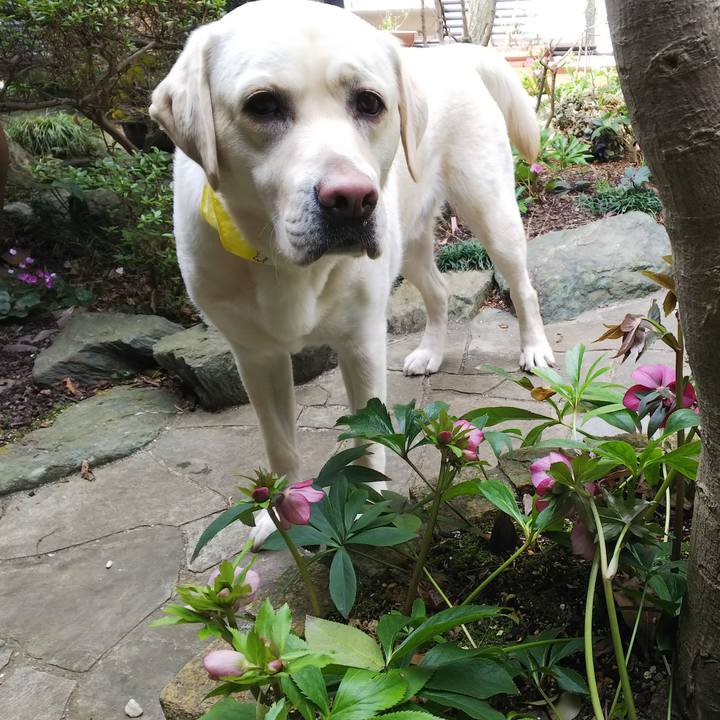 7604a106 1f72 4a6d b53a 7f2747ba45e7 1520421225713