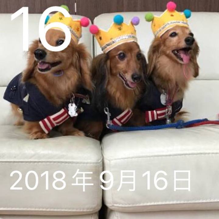 7604a296 7bbb 4175 b91d 82058fd993cf 1663297366503