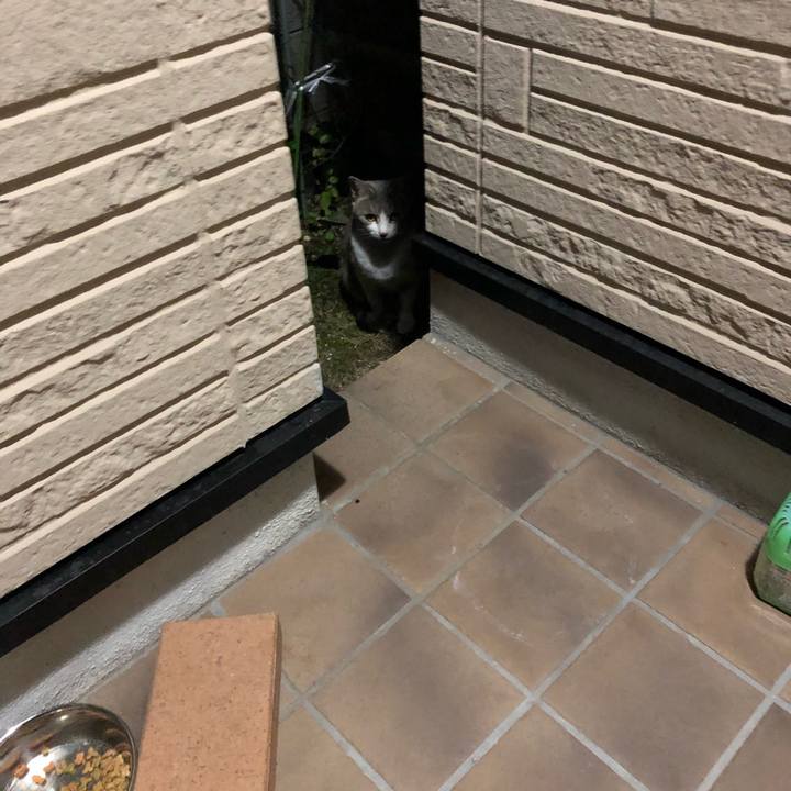 7604ba3c c7e4 46fc 9ea2 fd8dbbd39c9d 1642157986890