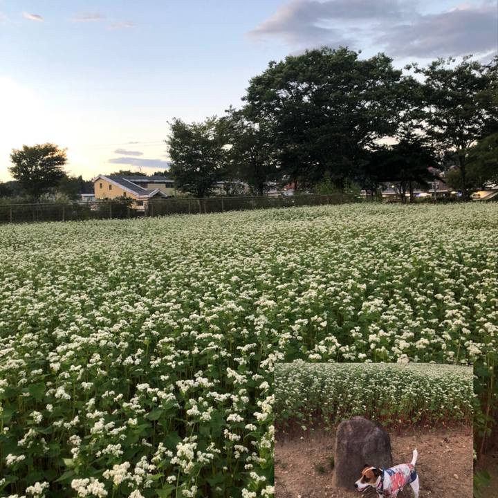 7604d6ee 0991 409f 92c9 ac8ebcb0f336 1599047149604