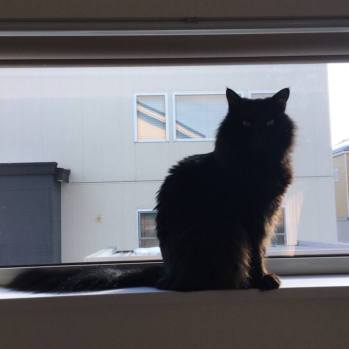 7604e8ea 280a 4385 99bf 4be1ee500794 1516440876543